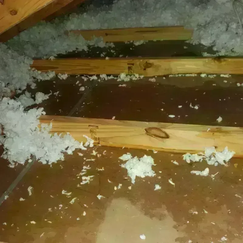 Attic Water Damage in Marietta, OK