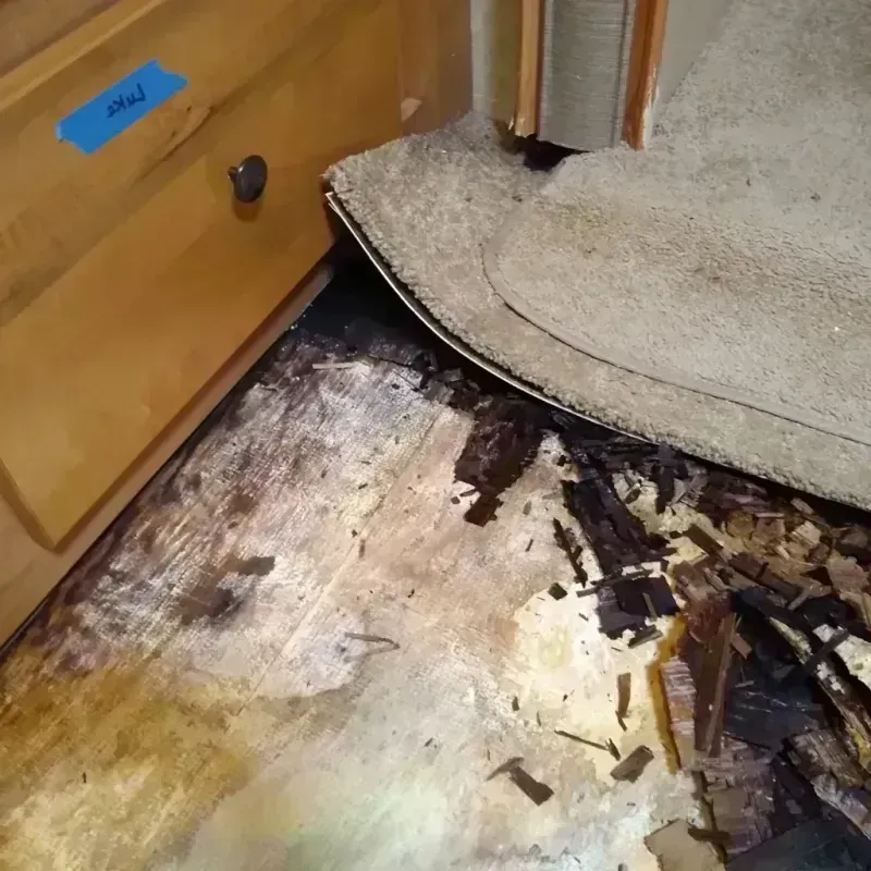 Wood Floor Water Damage in Marietta, OK